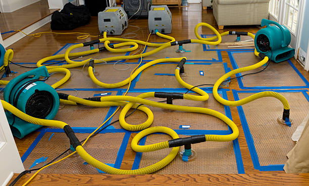 Professional Basement Flood Cleanup technician working in Brighton, CO